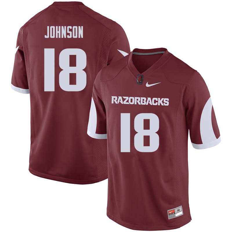 Men #18 Blake Johnson Arkansas Razorback College Football Jerseys Sale-Cardinal